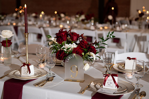Diana & Igor Wedding-630