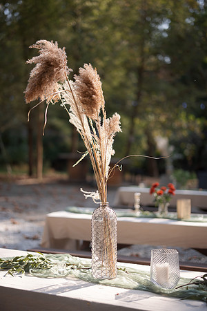 Tammy & Keith Wedding-6