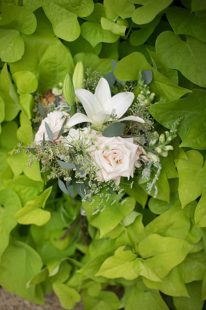 Ashley & William Wedding Images-609