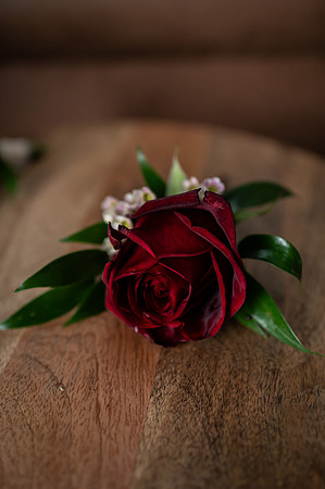Diana & Igor Wedding-190