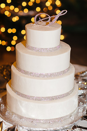 0737 Danielle and Todd Wedding