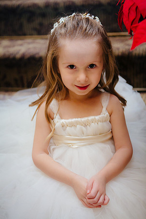 0285 Danielle and Todd Wedding