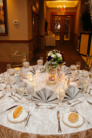 0747 Danielle and Todd Wedding