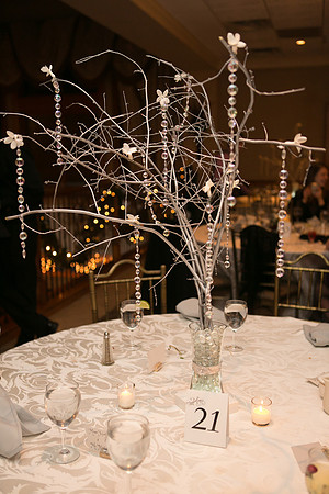 0975 Danielle and Todd Wedding