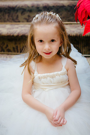 0284 Danielle and Todd Wedding