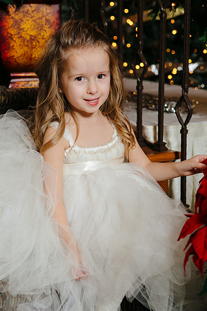 0464 Danielle and Todd Wedding