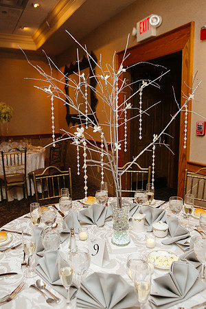 0746 Danielle and Todd Wedding