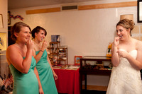 Kaitlyn and Mike Wedding