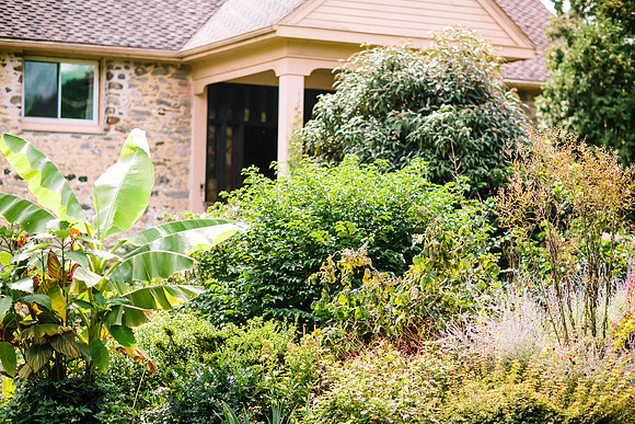 Summer Anton Wedding-003