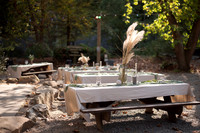 Tammy & Keith Wedding 2024