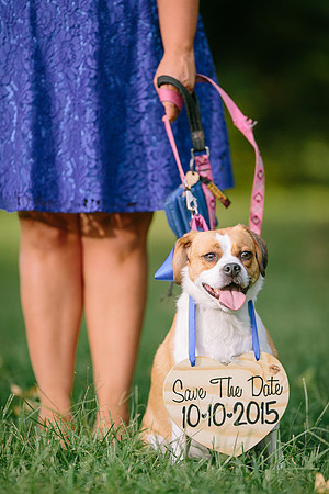 Nicole-Mike-Engagement-014