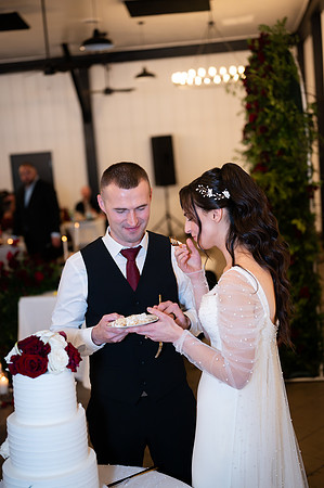 Diana & Igor Wedding-952