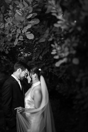 Rylee & Justin WEDDING PHOTOS by Reiner Photography-832