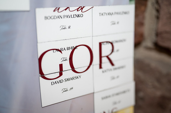 Diana & Igor Wedding-649
