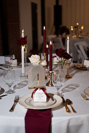 Diana & Igor Wedding-638