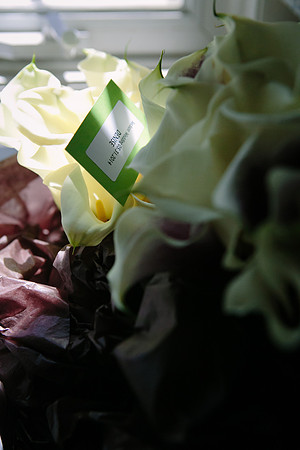 Melissa & Joe Wedding-031