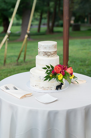 Allison & John Wedding-841